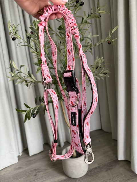 Watermelon Love Multi-Functional Lead
