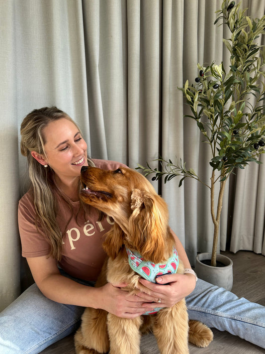 Giving Pets a Voice: The Story Behind Wag & Whisker Collective