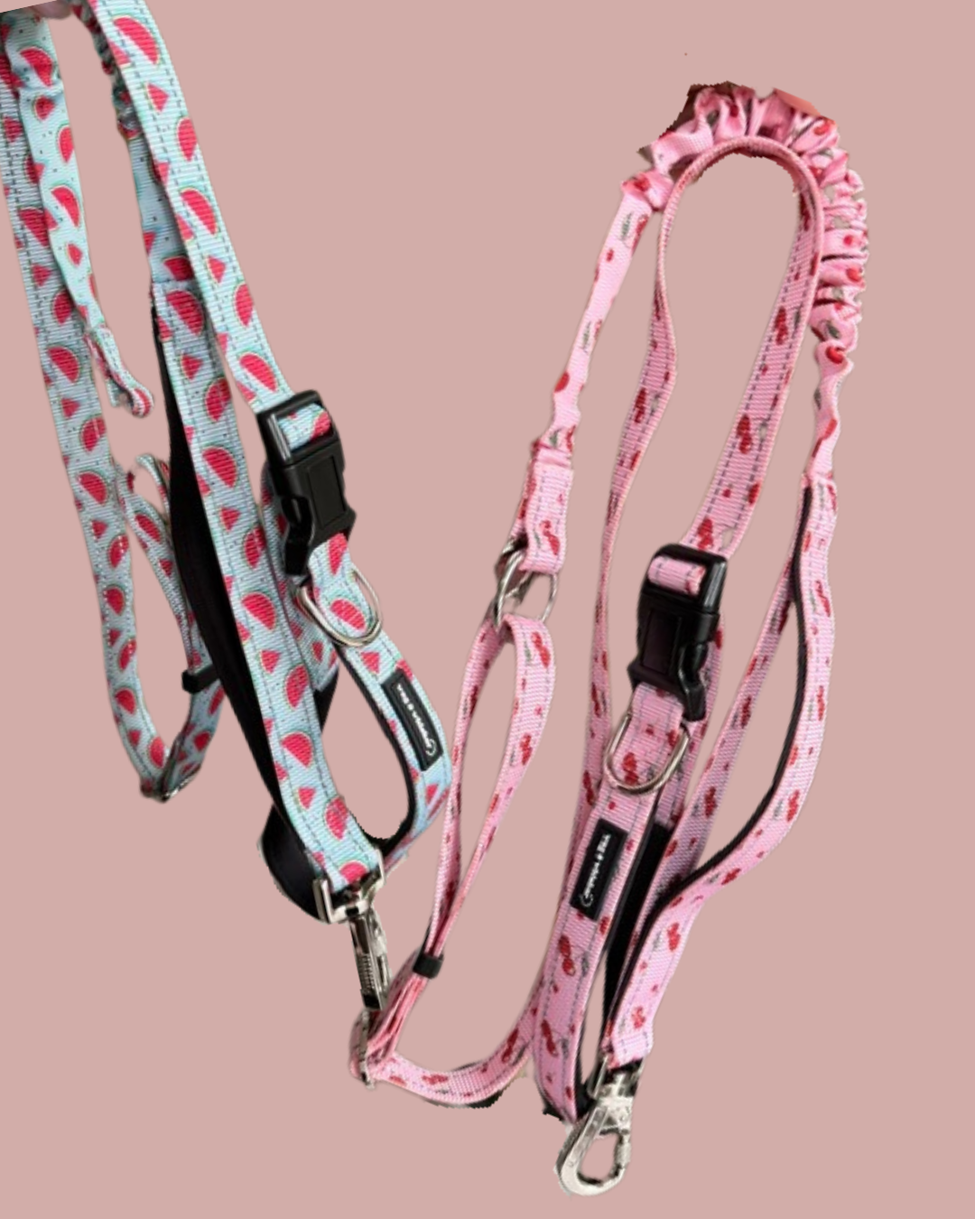 Multi-Functional Leads