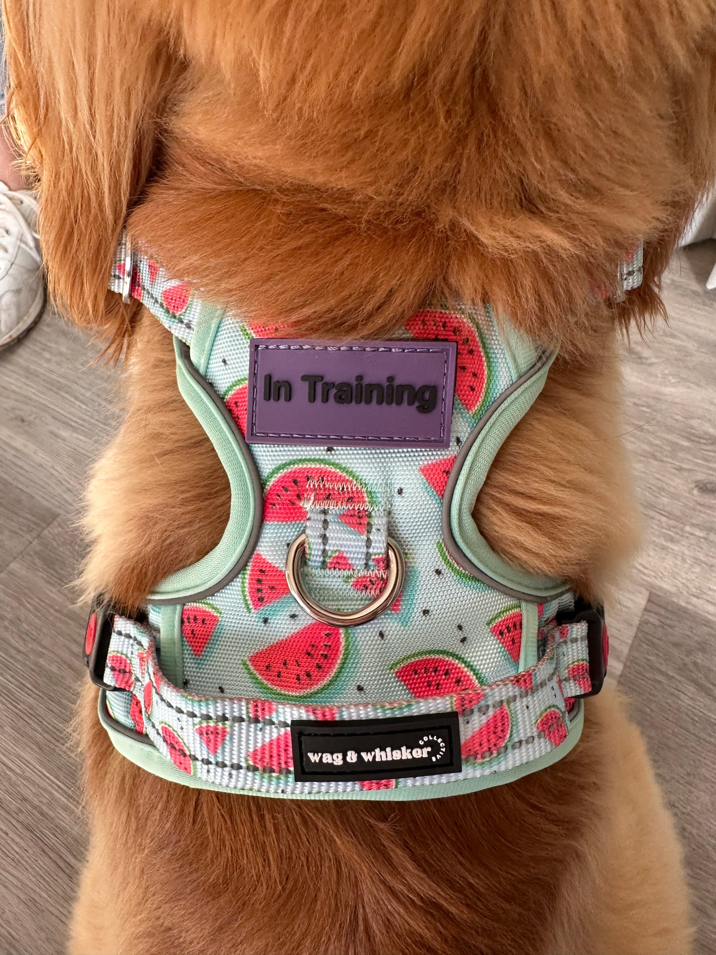 Watermelon Love Adjustable Harness