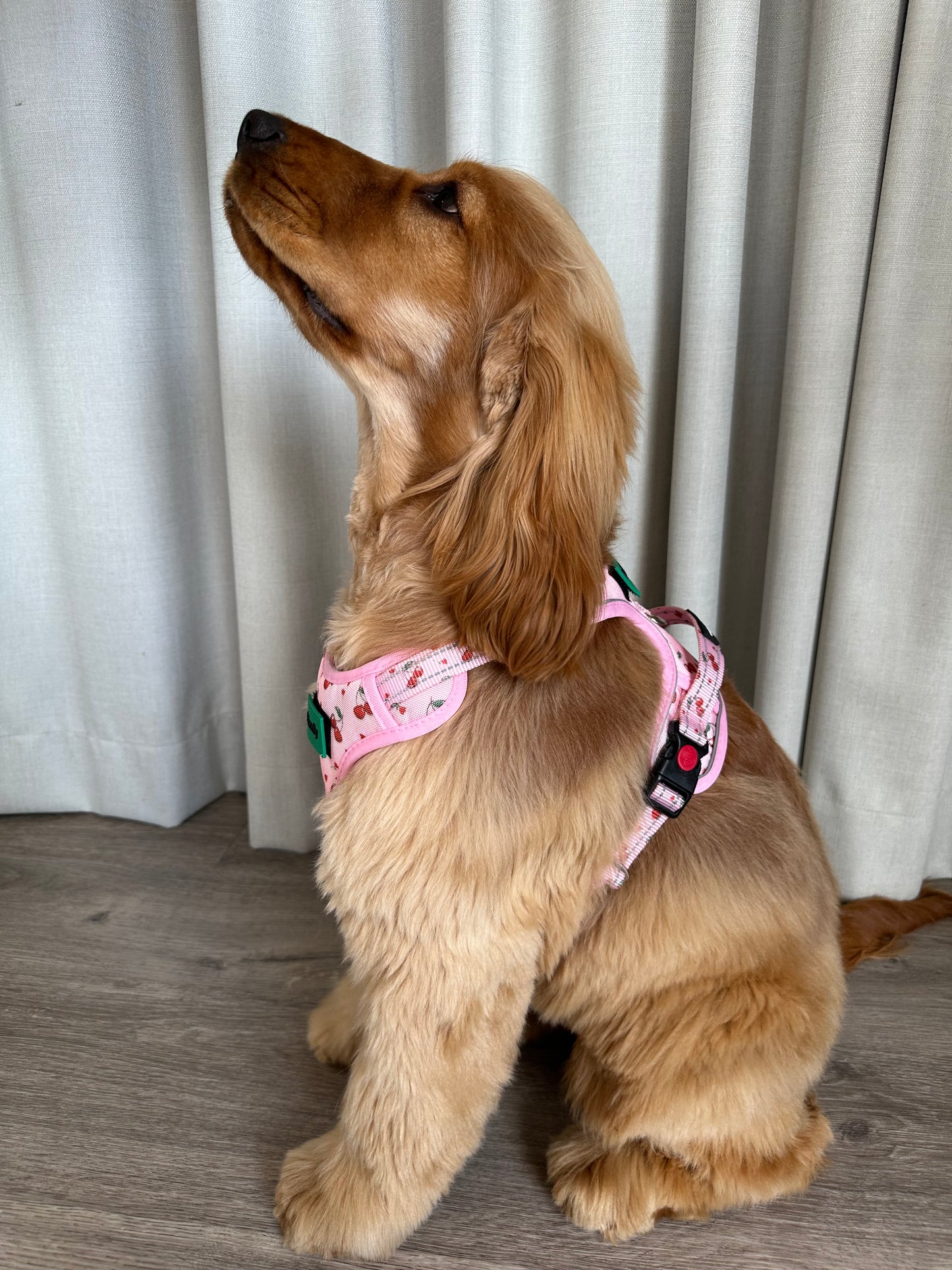 Cherry Love Adjustable Harness