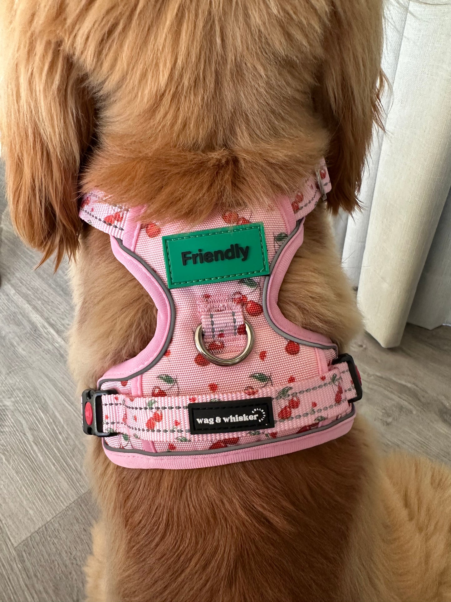 Cherry Love Adjustable Harness