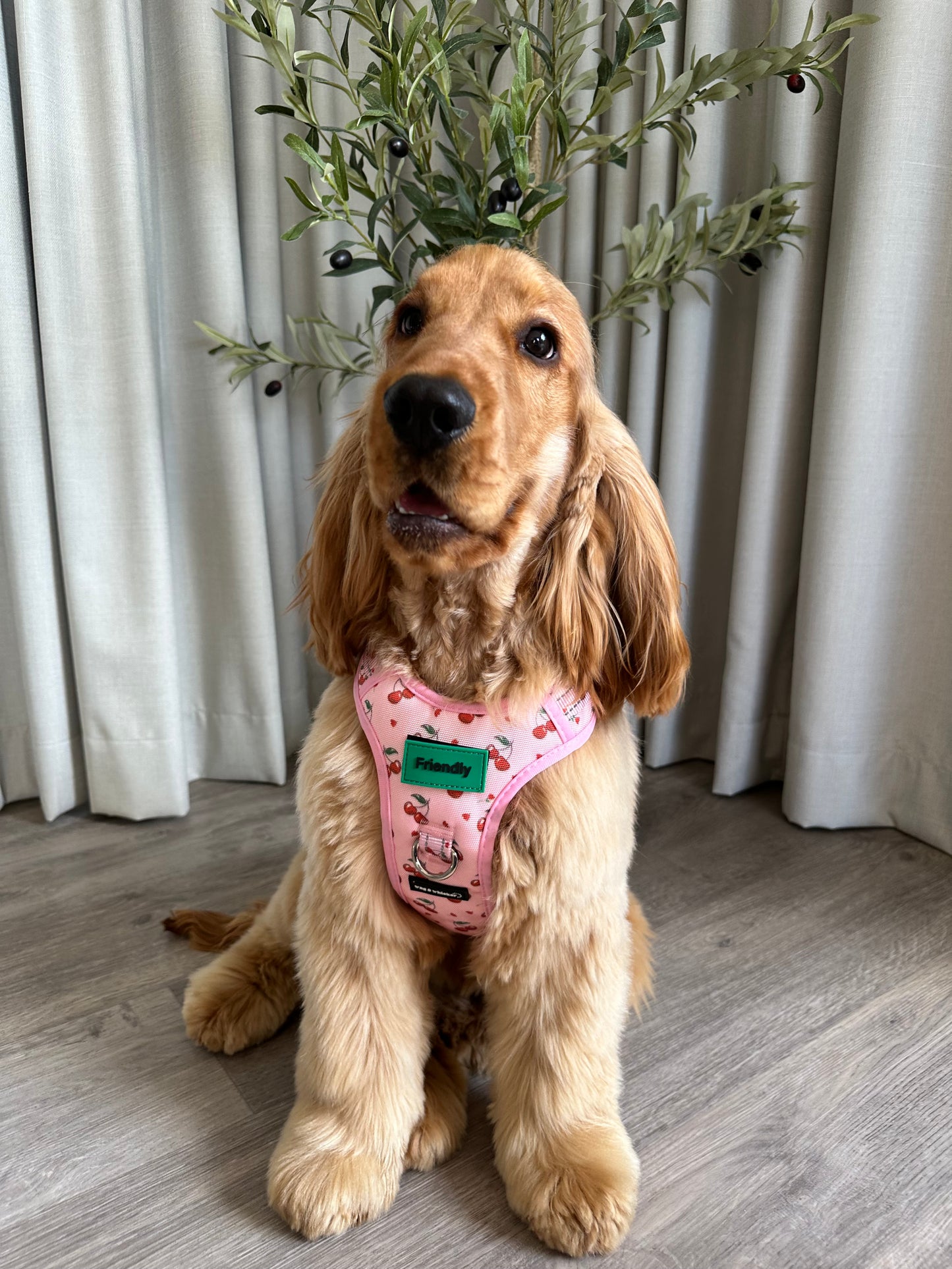 Cherry Love Adjustable Harness