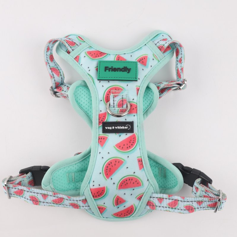 Watermelon Love Adjustable Harness