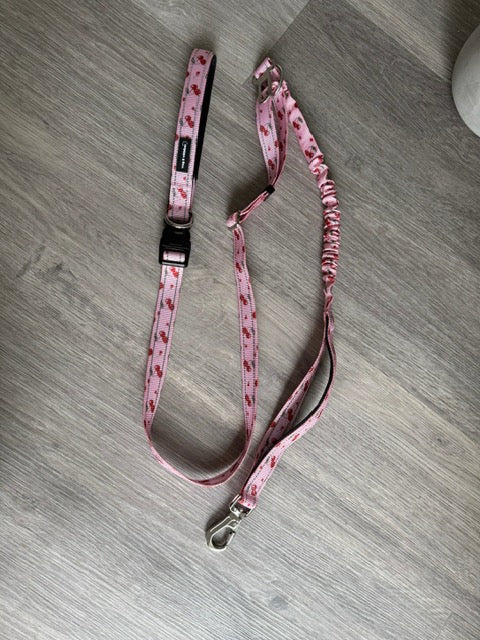 Cherry Love Multi-Functional Lead
