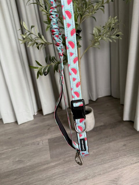 Watermelon Love Multi-Functional Lead