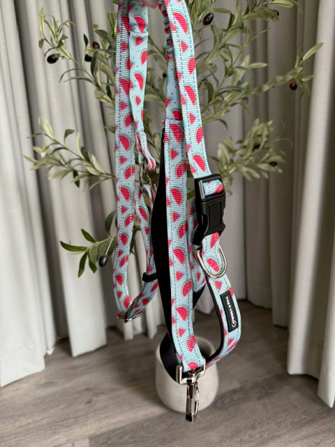 Watermelon Love Multi-Functional Lead