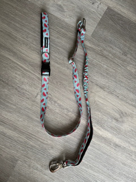 Watermelon Love Multi-Functional Lead