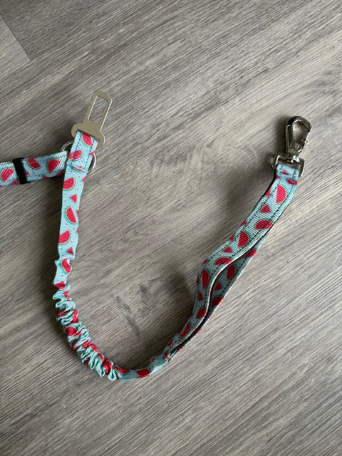 Watermelon Love Multi-Functional Lead