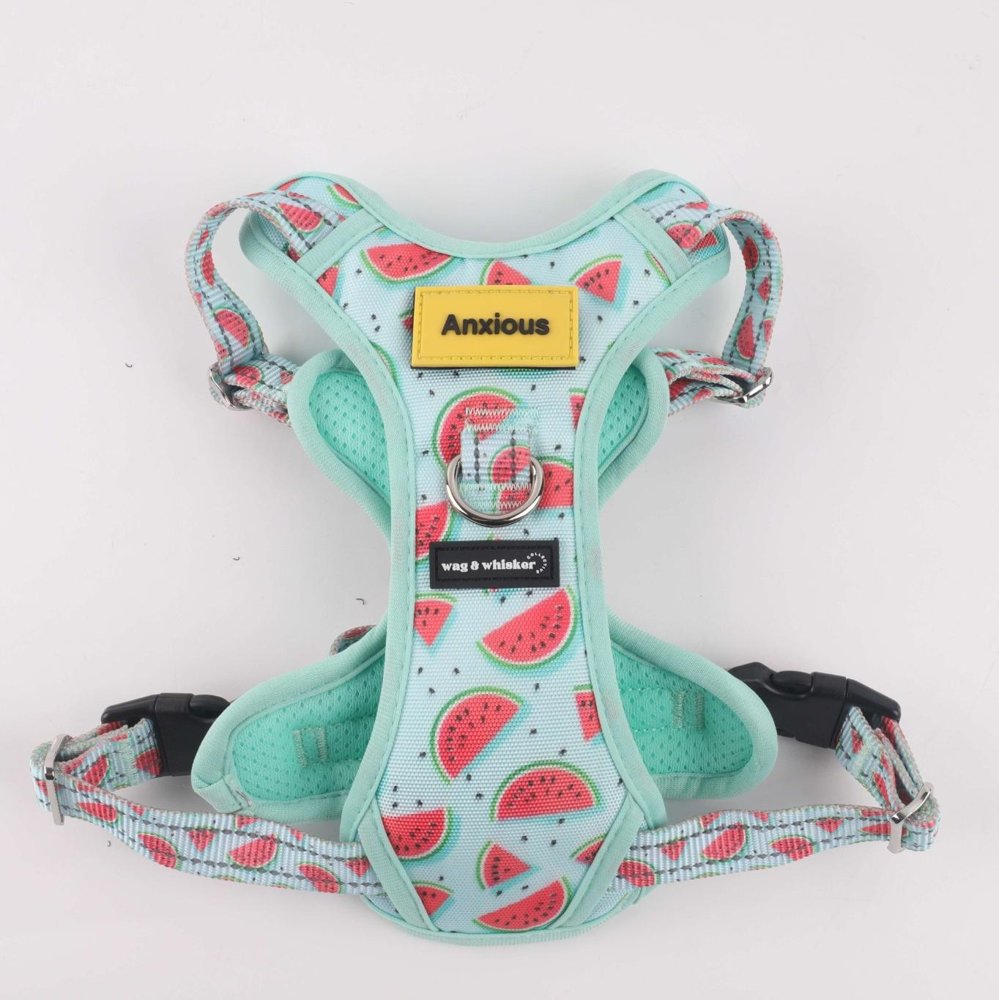 Watermelon Love Adjustable Harness