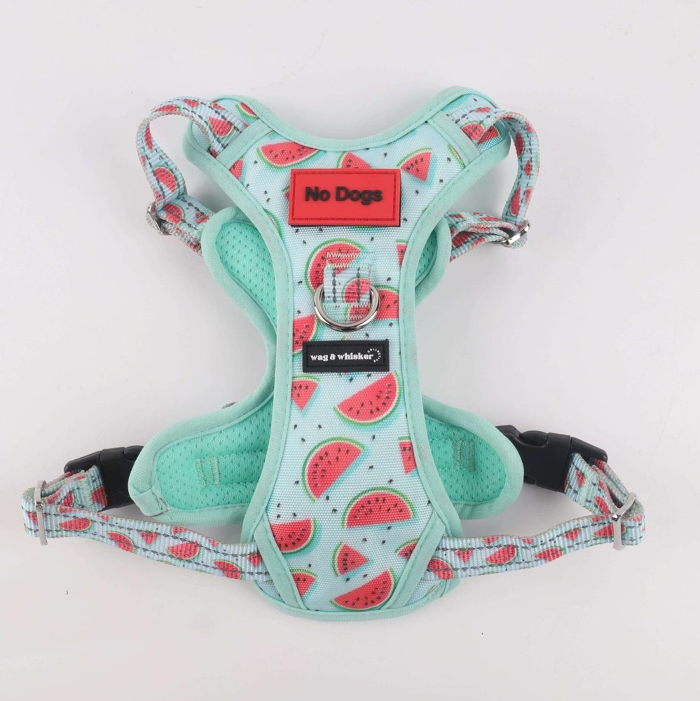 Watermelon Love Adjustable Harness