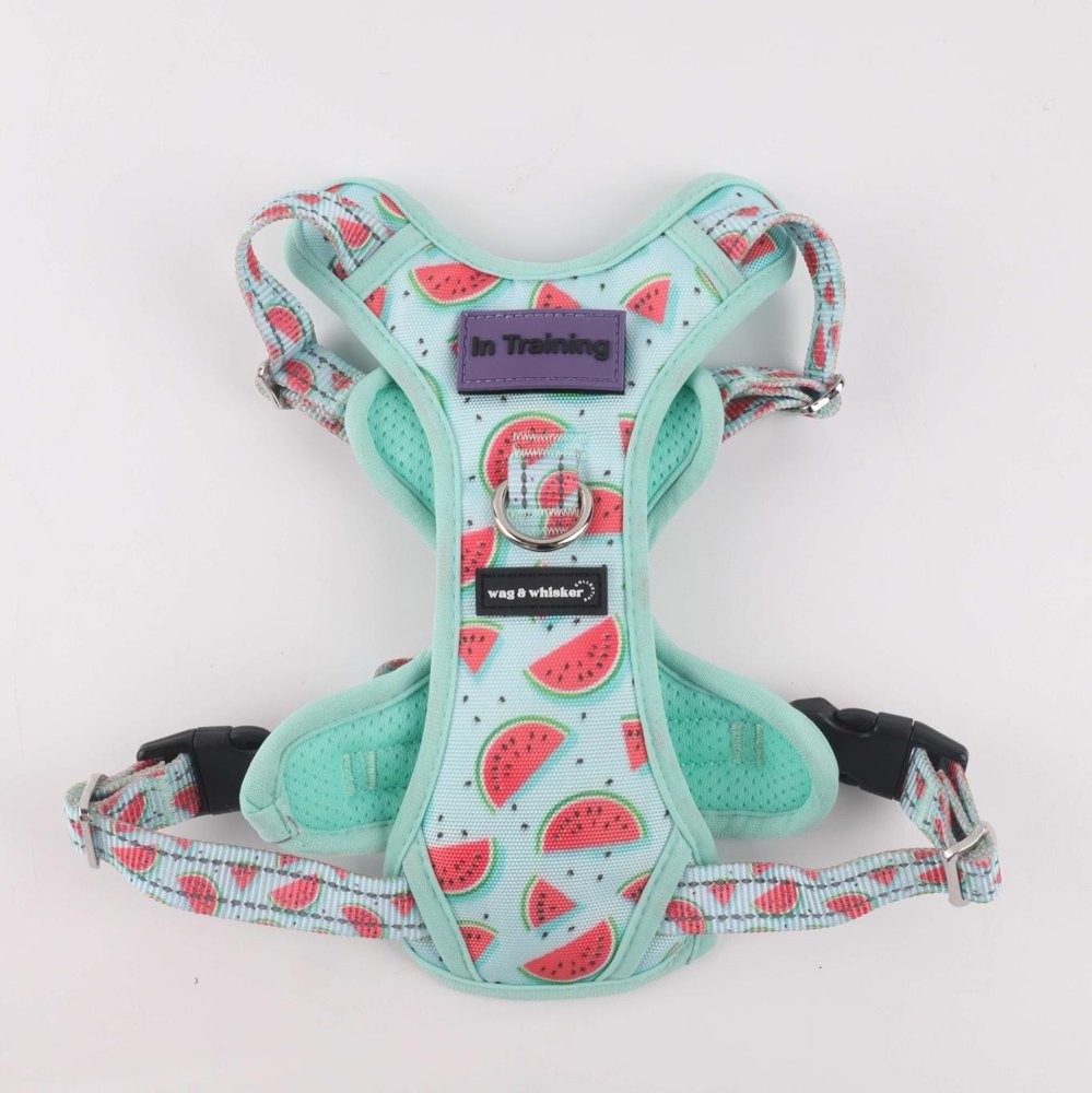 Watermelon Love Adjustable Harness